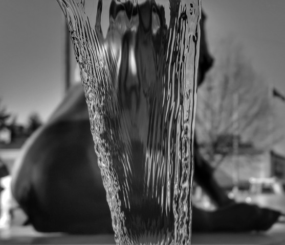 Horse water BW
